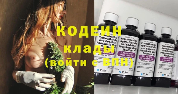 индика Ростов