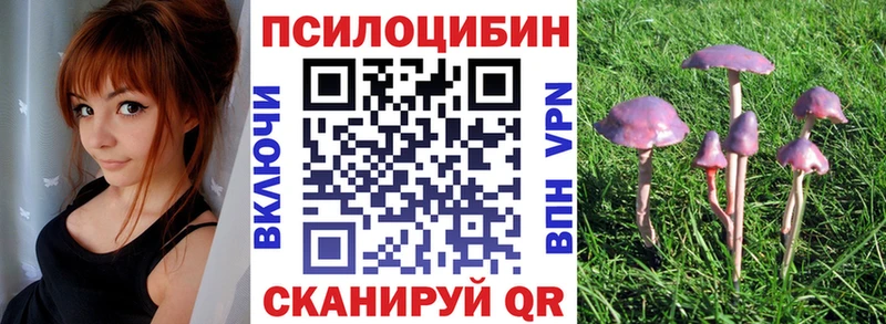 Псилоцибиновые грибы прущие грибы  Удомля 